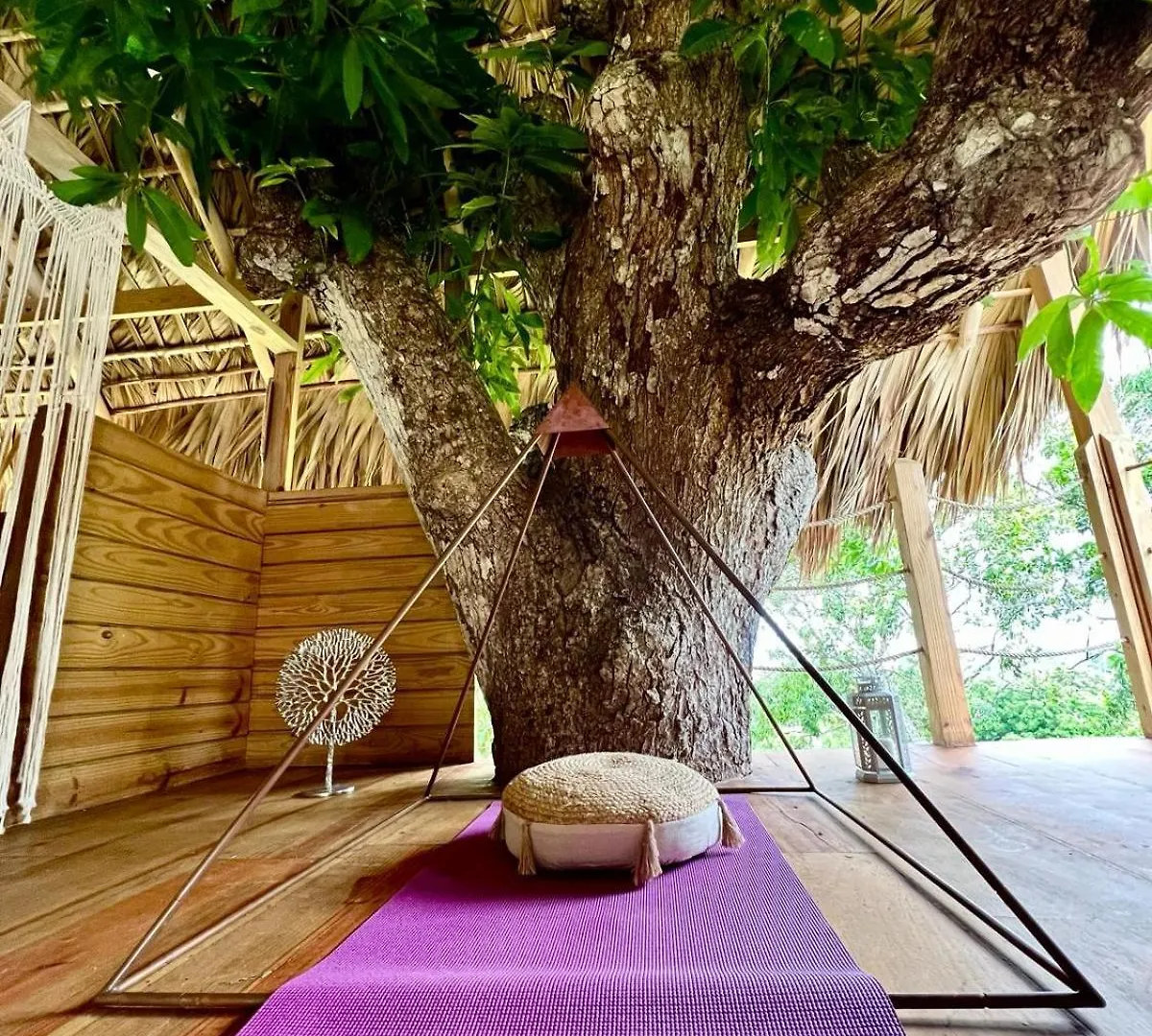 Miches Margarita Ecovillage فندق مبيت وإفطار