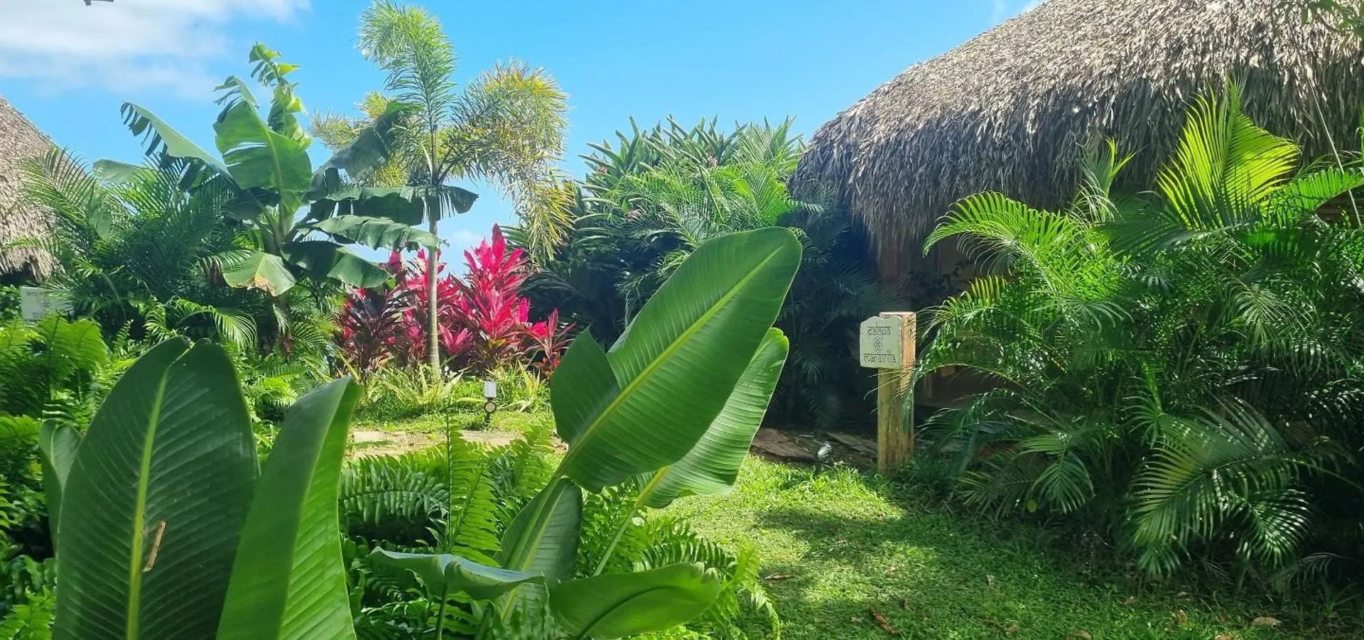 Miches Margarita Ecovillage فندق مبيت وإفطار